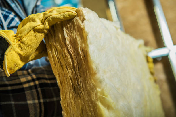 Best Soundproof Insulation Installation  in Lexington, MN